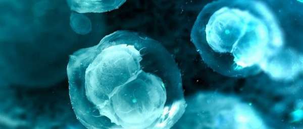 Стволовые клетки для лечения суставов